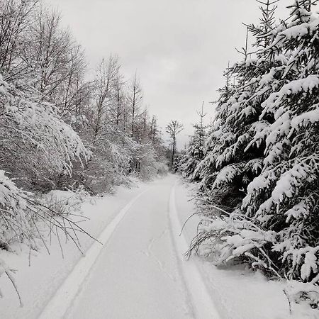 Stuga I Naturskoena Mittskane Höör Buitenkant foto