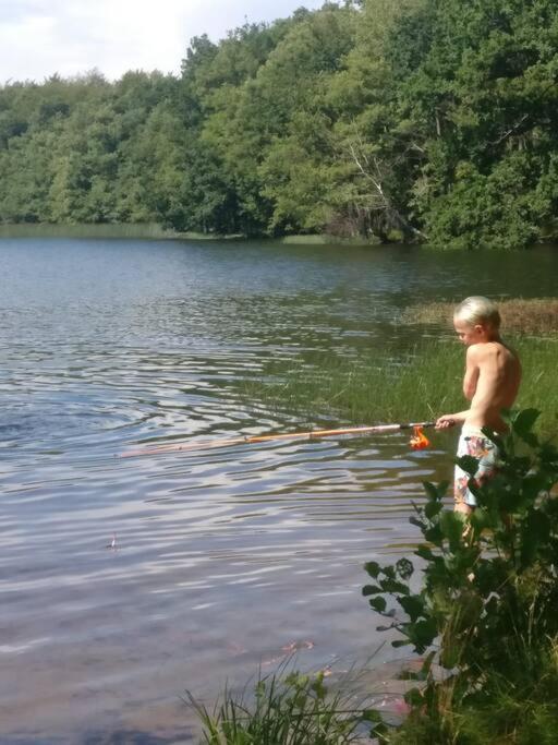 Stuga I Naturskoena Mittskane Höör Buitenkant foto